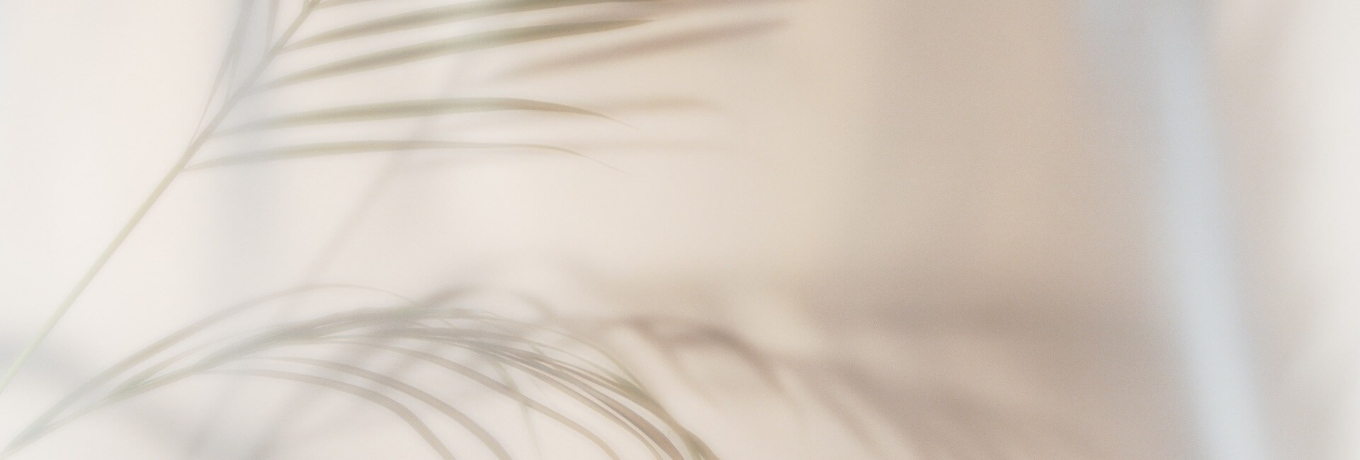 Mooie wenkbrauwen Sneek - header-beuatyici-2024